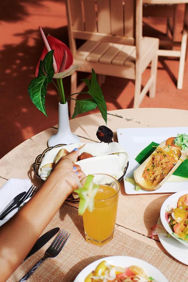Fond Doux Eco Resort Soufrière 外观 照片