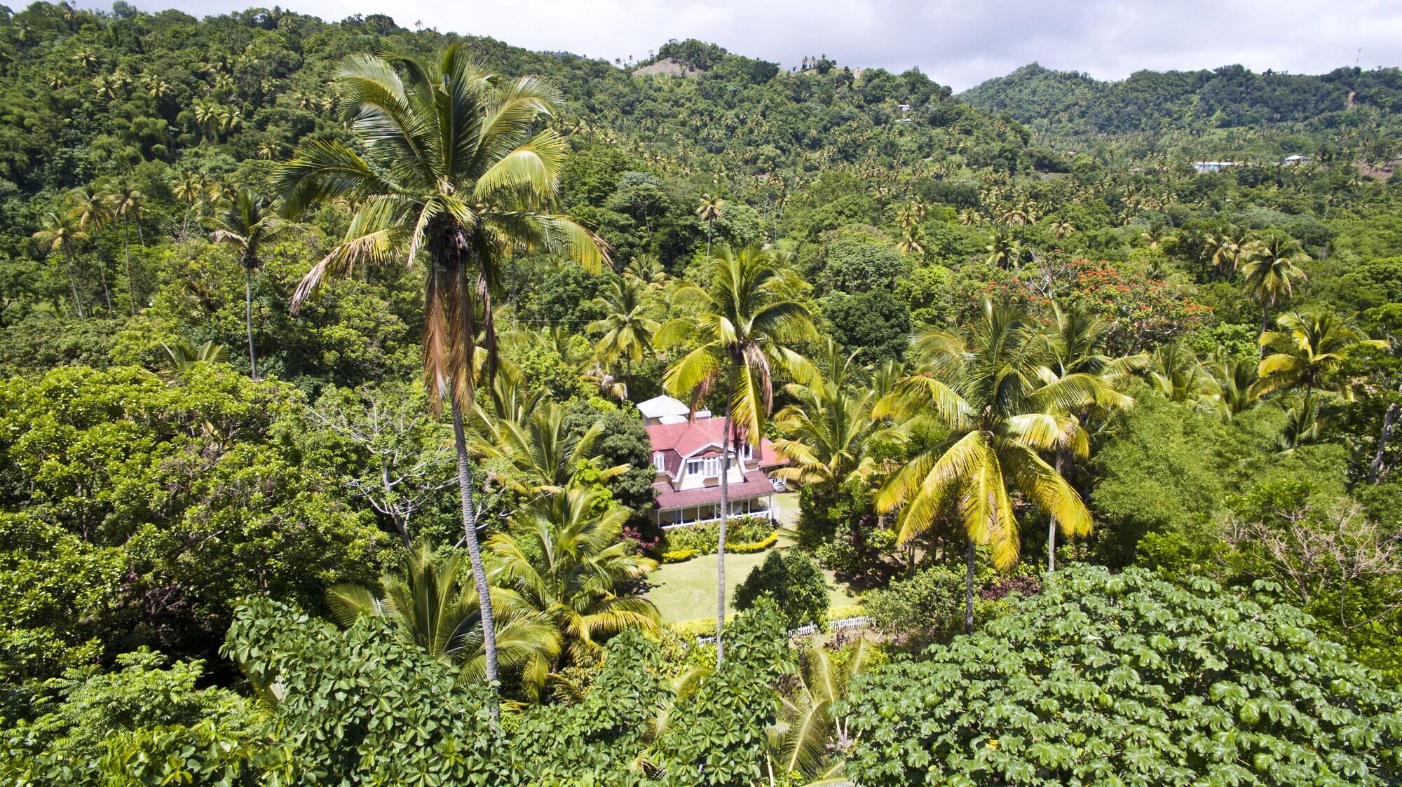 Fond Doux Eco Resort Soufrière 外观 照片