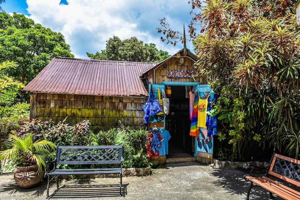 Fond Doux Eco Resort Soufrière 外观 照片