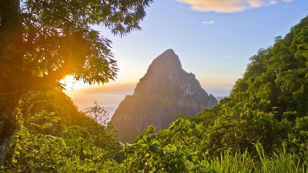 Fond Doux Eco Resort Soufrière 外观 照片