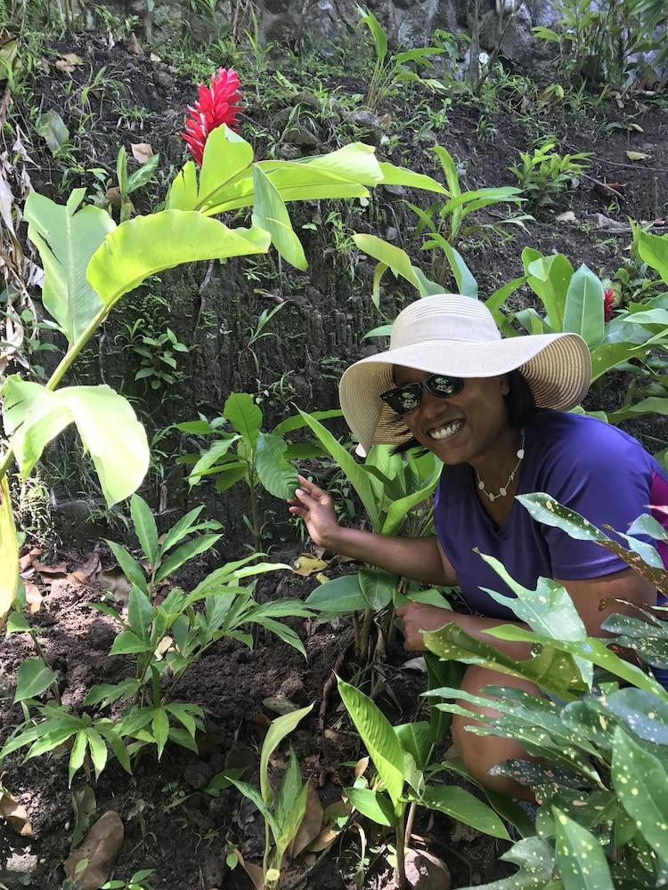 Fond Doux Eco Resort Soufrière 外观 照片