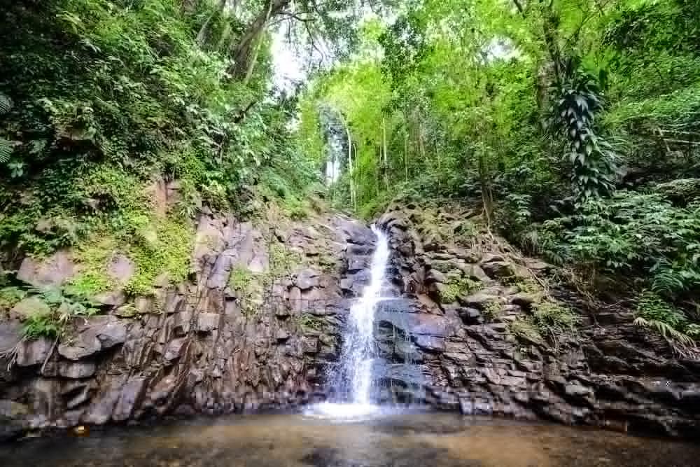 Fond Doux Eco Resort Soufrière 外观 照片